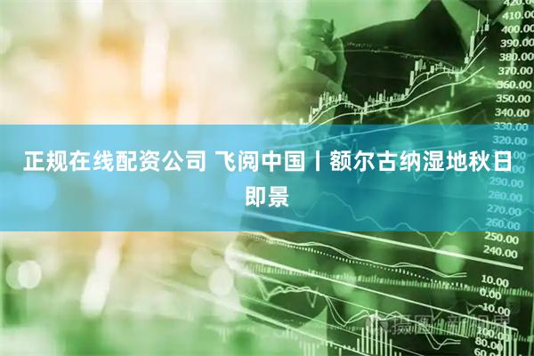 正规在线配资公司 飞阅中国丨额尔古纳湿地秋日即景
