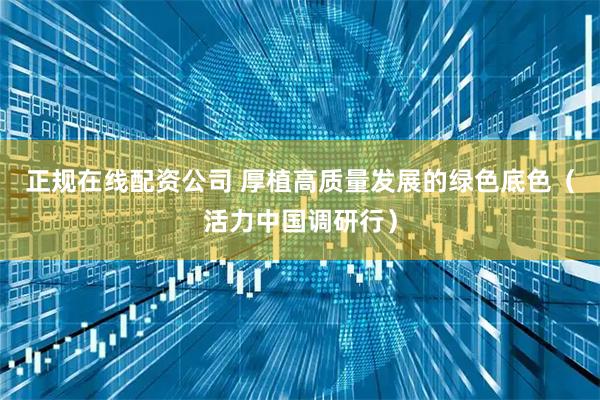 正规在线配资公司 厚植高质量发展的绿色底色（活力中国调研行）